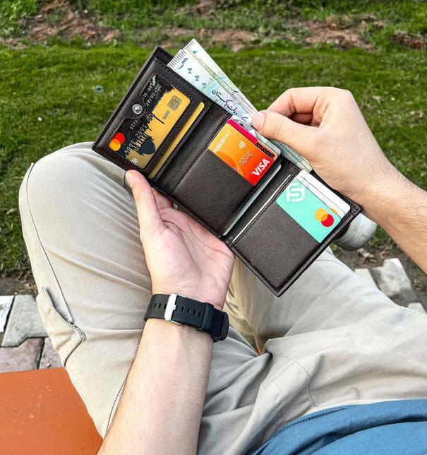 Croco-Hybrid Smart Wallet 🐊